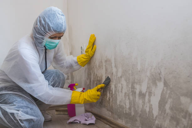 Asbestos and Lead Testing During Mold Inspection in Mount Pleasant, WI